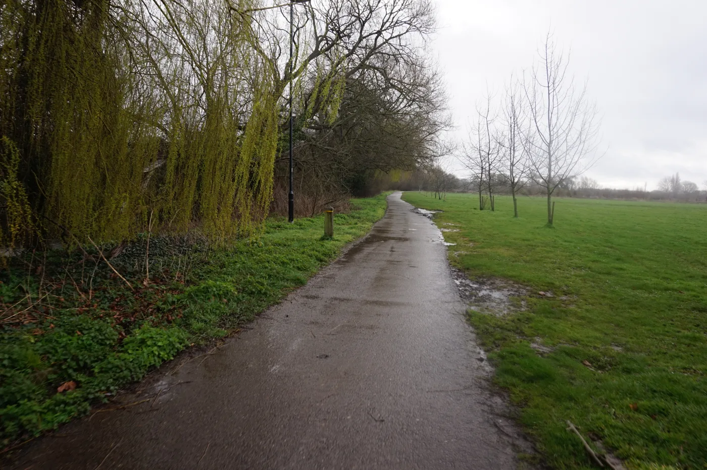 Upton Court Park, where Slough's council-run Bonfire and Firework Spectacular used to be held. The council cut the event as a budget saving and has not run it since